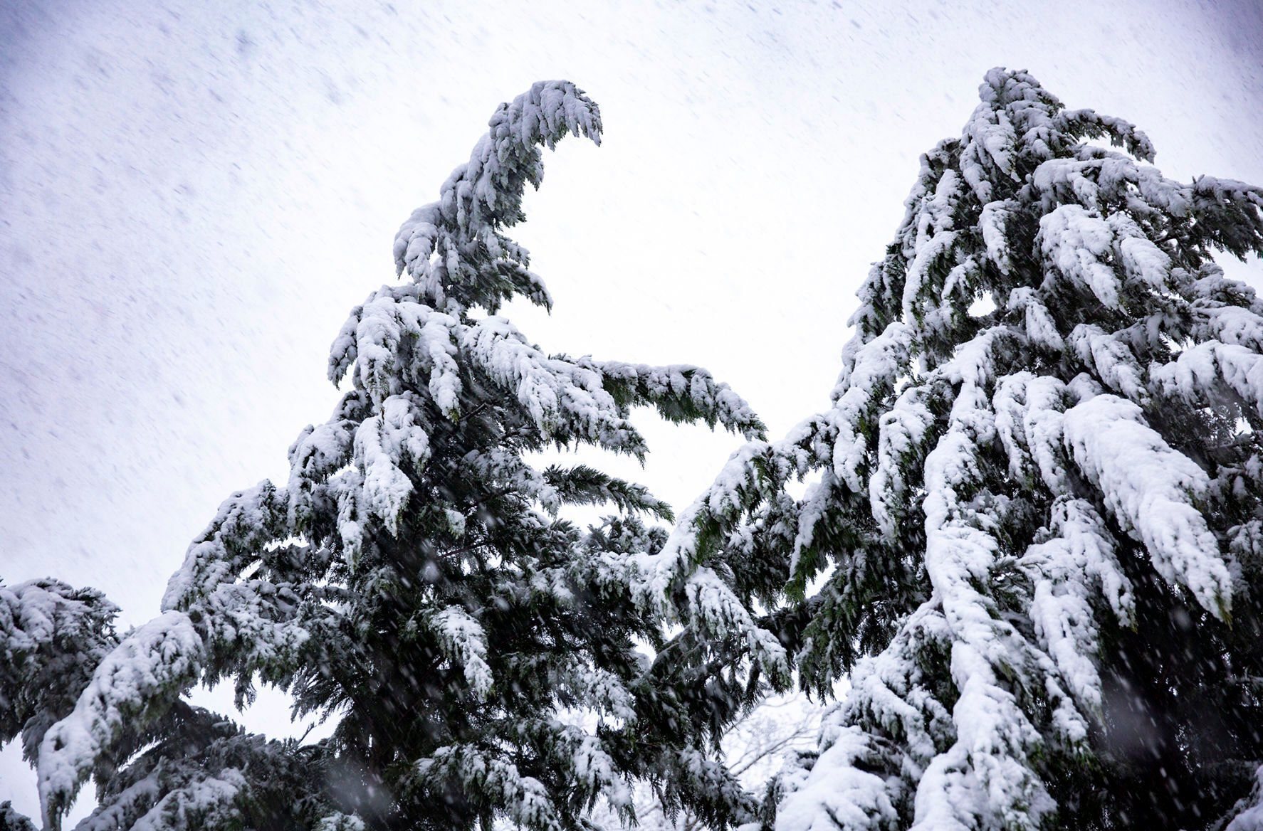 snow day
